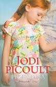 Przemiana - Jodi Picoult. Autor: Picoult Jodi. Dadada.pl Okładka książki Przemiana - Jodi Picoult