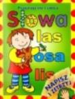 Okładka książki Przyjrzyj się i ćwicz. Słowa