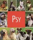 Okładka książki Psy