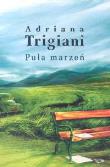 Pula marzeń. Autor: Trigiani Adriana. Dadada.pl Okładka książki Pula marzeń