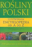 Rośliny Polski Ilustrowana encyklopedia od A do Z. Autor: Krzyściak-Kosińska Renata. Dadada.pl Okładka książki Rośliny Polski Ilustrowana encyklopedia od A do Z