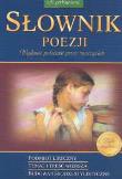 Słownik poezji. Autor: Barbara Włodarczyk, Anna Kremiec, Lidia Rolka. Dadada.pl Okładka książki Słownik poezji