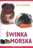 Świnka morska. Złoty przewodnik. Autor: O'Neill Amanda. Dadada.pl Okładka książki Świnka morska. Złoty przewodnik