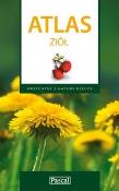 Atlas ziół. Autor: Krzyściak-Kosińska Renata. Dadada.pl Okładka książki Atlas ziół