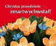Okładka książki Chrystus prawdziwie zmartwychwstał! Perełka 180