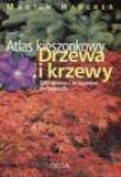 Okładka książki Drzewa i krzewy. Atlas kieszonkowy