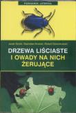 Drzewa liściaste i owady na nich żerujące. Autor: Opracowanie zbiorowe. Dadada.pl Okładka książki Drzewa liściaste i owady na nich żerujące