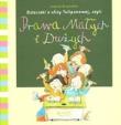 Dzieci z ulicy Tulipanowej, czyli Prawa.... Autor: Krzyżanek Joanna. Dadada.pl Okładka książki Dzieci z ulicy Tulipanowej, czyli Prawa...