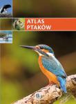 Imagine. Atlas ptaków. Autor:   Praca zbiorowa. Dadada.pl Okładka książki Imagine. Atlas ptaków