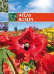 Imagine. Atlas roślin. Autor: Krzyściak-Kosińska Renata, Kosiński Marek. Dadada.pl Okładka książki Imagine. Atlas roślin
