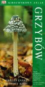 Kieszonkowy atlas grzybów. Autor: Evans Shelley, Kibby Geoffrey. Dadada.pl Okładka książki Kieszonkowy atlas grzybów