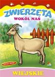 Okładka książki Kolorowanka Zwierzęta wokół nas (25)