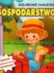 Kolorowe naklejki Gospodarstwo. Autor: TBH068. Dadada.pl Okładka książki Kolorowe naklejki Gospodarstwo