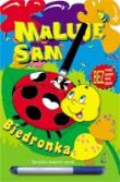 Okładka książki Maluję sam. Biedronka