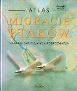 Okładka książki Migracje ptaków