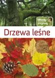 Młody obserwator przyrody - Drzewa leśne. Autor: Multico. Dadada.pl Okładka książki Młody obserwator przyrody - Drzewa leśne