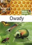 Młody obserwator przyrody - Owady. Autor: Dzwonkowski Robert J.. Dadada.pl Okładka książki Młody obserwator przyrody - Owady