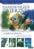 Najdziwniejsze zwierzęta. Autor: nagrodowka sp. Dadada.pl Okładka książki Najdziwniejsze zwierzęta