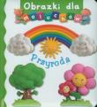 Obrazki dla maluchów - Przyroda. Autor: Beaumont Emilie, Nathalie Belineau. Dadada.pl Okładka książki Obrazki dla maluchów - Przyroda