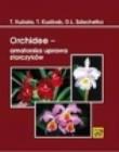Okładka książki Orchidee - amatorska uprawa storczyków