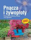 Okładka książki Pnącza i żywopłoty