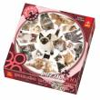 Okładka książki Puzzle 300 okrągłe Kotki TREFL