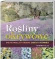 Rośliny okrywowe (kdc). Autor: Barbara W. Ellis. Dadada.pl Okładka książki Rośliny okrywowe (kdc)