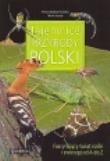 Tajemnice przyrody Polski. Autor: nagrodowka gim. Dadada.pl Okładka książki Tajemnice przyrody Polski