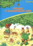Okładka książki Tupliczki w zaczarowanym lesie