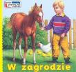 W zagrodzie. Autor: Kowalczyk Tomasz. Dadada.pl Okładka książki W zagrodzie