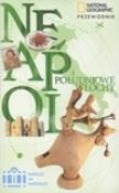 Wakacje na walizkach - Neapol i południowe Włochy. Autor: Jepson Tim. Dadada.pl Okładka książki Wakacje na walizkach - Neapol i południowe Włochy