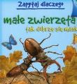 Zapytaj dlaczego małe zwierzęta tak dobrze się maskują. Autor: Humphries Tudor, Karen Wallace. Dadada.pl Okładka książki Zapytaj dlaczego małe zwierzęta tak dobrze się maskują