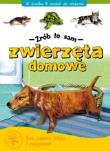 Zrób to sam - Zwierzeta domowe. Autor: Adamus - Ludwikowska Jolanta. Dadada.pl Okładka książki Zrób to sam - Zwierzeta domowe