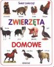Okładka książki Zwierzęta domowe Świat zwierząt