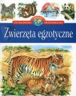 Zwierzęta egzotyczne Encyklopedia wiedzy przedszkolaka. Autor: Adamus-Ludwikowska Jolanta. Dadada.pl Okładka książki Zwierzęta egzotyczne Encyklopedia wiedzy przedszkolaka