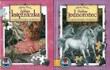 Czarodziejskie Puzzle Zaklęta księż/Siódmy..pakiet. Autor: Shirley Barber. Dadada.pl Okładka książki Czarodziejskie Puzzle Zaklęta księż/Siódmy..pakiet
