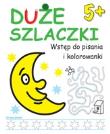 Duże szlaczki. Wstęp do pisania i kolorowania 5+. Autor: Wydawnictwo Wilga. Dadada.pl Okładka książki Duże szlaczki. Wstęp do pisania i kolorowania 5+