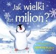 Okładka książki Jak wielki jest milion?