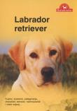 Labrador Retriever. Pies na medal. Autor: Over Dieren Zespół. Dadada.pl Okładka książki Labrador Retriever. Pies na medal
