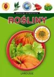 Moja pierwsza encyklopedia. Rośliny. Autor: praca zbiorowa. Dadada.pl Okładka książki Moja pierwsza encyklopedia. Rośliny