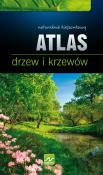 Natura. Atlas drzew i krzewów Dragon. Autor: Krzyściak-Kosińska Renata, Kosiński Marek. Dadada.pl Okładka książki Natura. Atlas drzew i krzewów Dragon