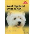 Pies na medal. West highland white terier. Autor:   Praca zbiorowa. Dadada.pl Okładka książki Pies na medal. West highland white terier