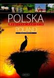 Polska Magiczne Podlasie Poland Magic Podlasie. Autor: Paweł Fabijański. Dadada.pl Okładka książki Polska Magiczne Podlasie Poland Magic Podlasie