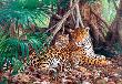 Okładka książki Puzzle 3000 Jaguary w dżungli CASTOR