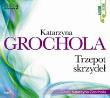 Okładka książki Trzepot skrzydeł (audiobook) - Audiobook