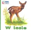W lesie . Moje pierwsze słowa (harmonijka). Autor: ROZKLADANE  harmonijka. Dadada.pl Okładka książki W lesie . Moje pierwsze słowa (harmonijka)