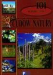 101 wspaniałych cudów natury ARTI. Autor: Terzi Enzo, Jackowicz Jan. Dadada.pl Okładka książki 101 wspaniałych cudów natury ARTI