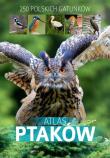 Atlas ptaków. Autor: Marchowski Dominik. Dadada.pl Okładka książki Atlas ptaków
