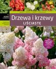 Okładka książki Drzewa i krzewy liściaste