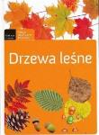 Drzewa leśne. Autor: praca zbiorowa. Dadada.pl Okładka książki Drzewa leśne